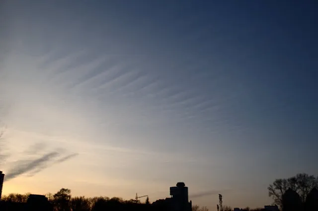 Яндекс проверил достоверность погодных примет. Большинство из них не работают