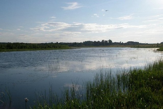 В реке Сосьва, запутавшись в сетях, утонул рыбак