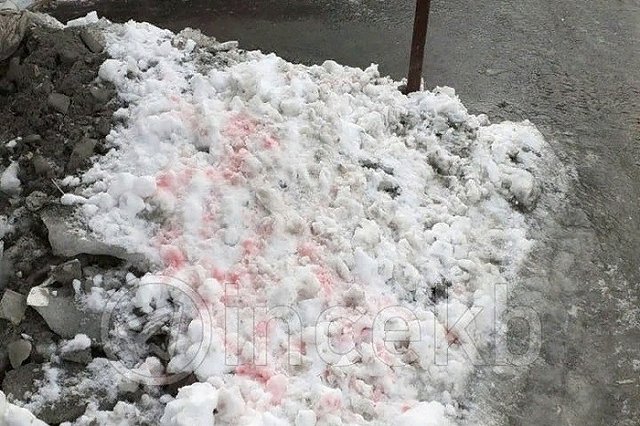 Екатеринбуржцы нашли отраву для собак возле ТЦ «Дирижабль»