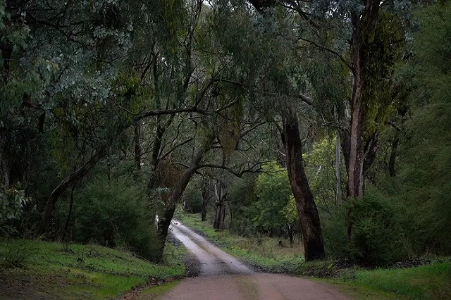 Дорога до свердловского села, сделанная по приказу Путина, начала разрушаться