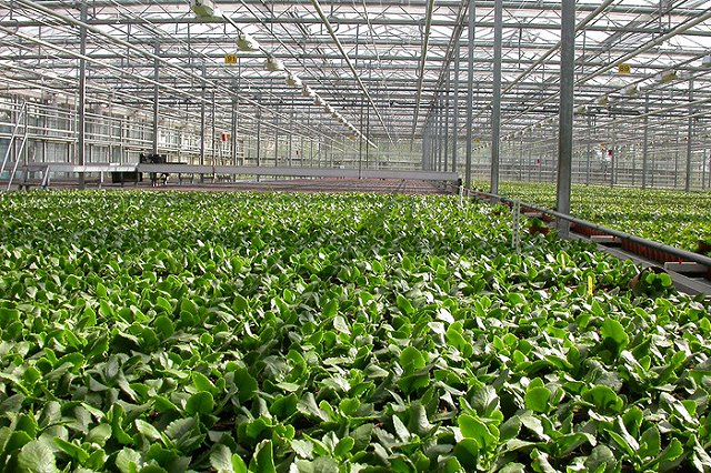 В Свердловской области построят российско-китайский агропромышленный комплекс