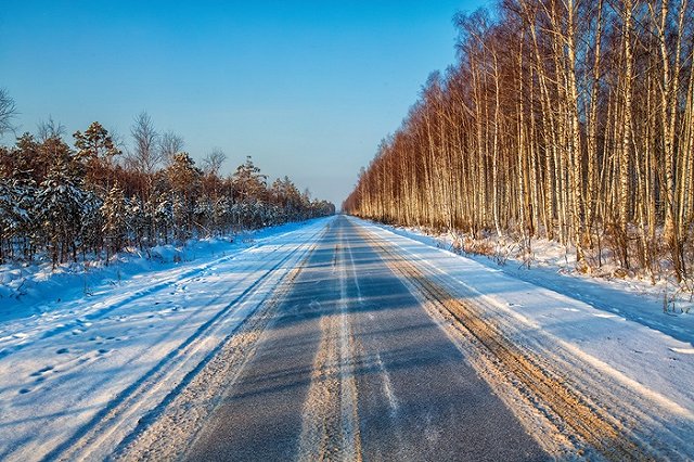 В Перми водитель автобуса высадил ребенка в лесу