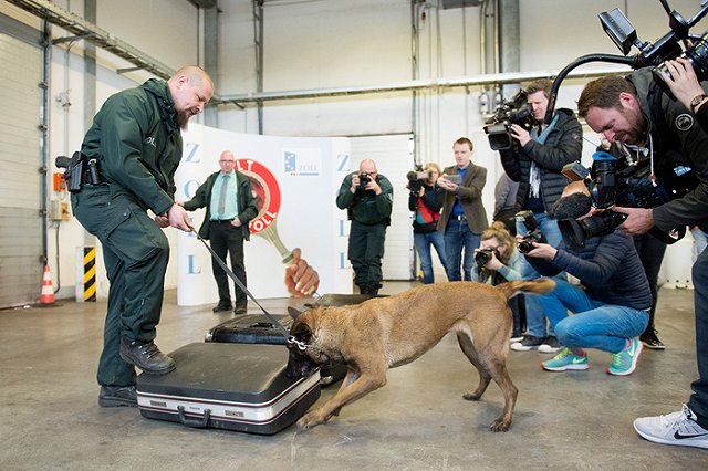 На турецкой таможне в чемодане нашли гражданку Грузии