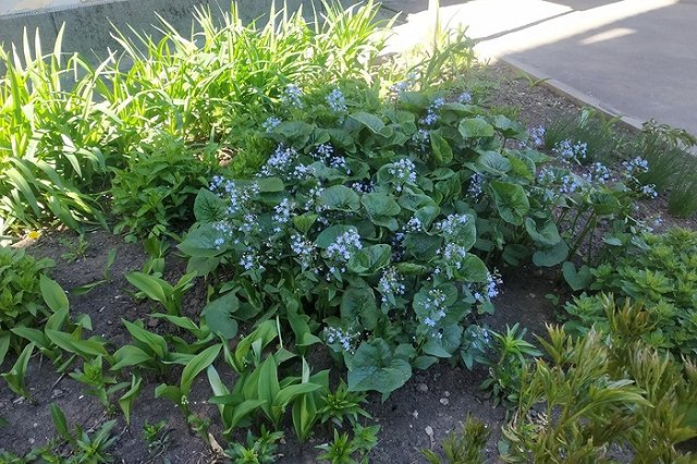 На Свердловскую область идет похолодание