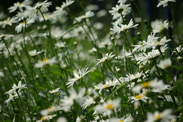 Синоптики обещают уральцам теплый июль