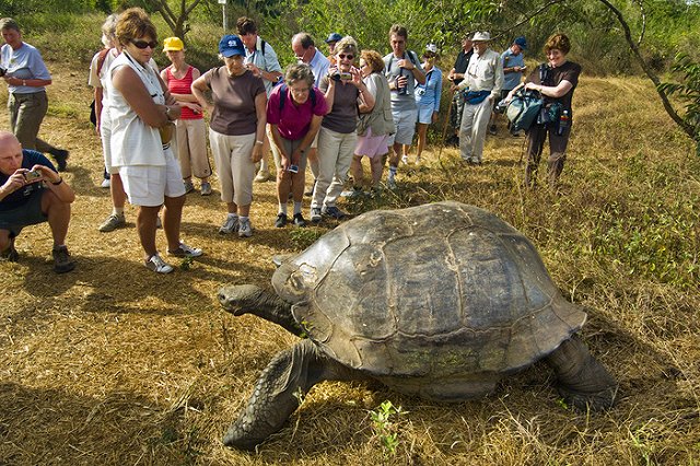 МИД предостерег россиян за границей от слов «яблан», «жид» и «понос»
