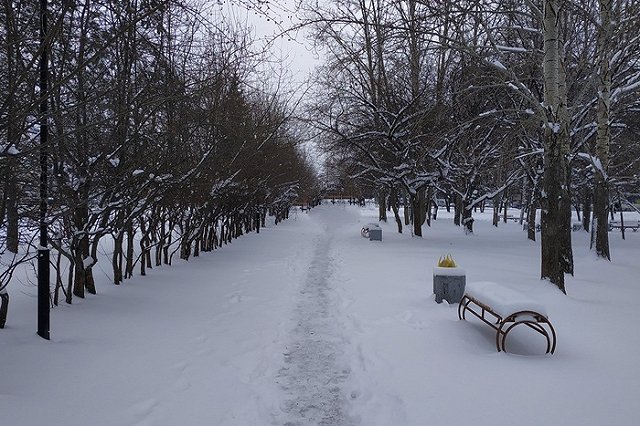 В предстоящие длинные выходные температура воздуха опустится до -12 градусов