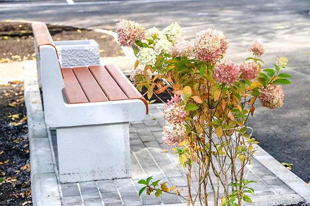 Мэрия предложила обустроить новый парк возле Южного автовокзала