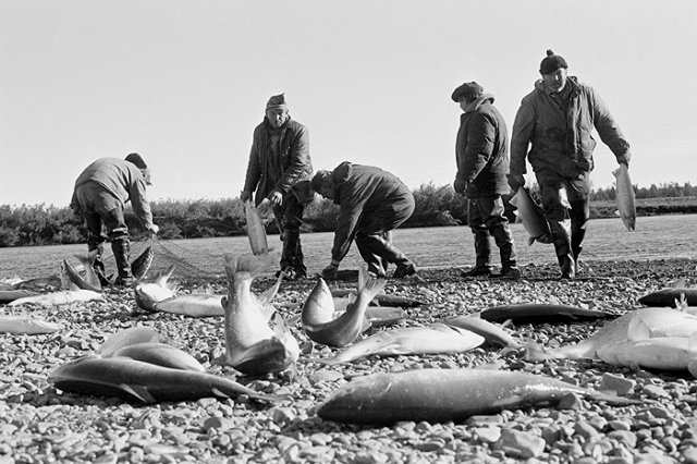 Носов рассказал об открытии в марте 2019 года авиарейса «Магадан — Екатеринбург»