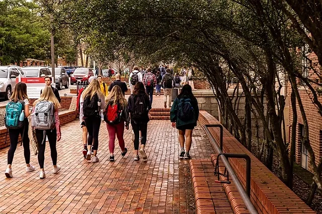 Ректор УрГЭУ объяснил, почему не согласен, что дистанционное обучение должно быть дешевле