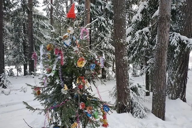 «Молодняк в опасности». Охрана хвойных деревьев усилена в Свердловской области