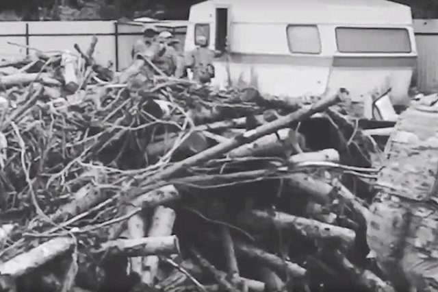 ФСБ предотвратила теракт в Калининградской области, готовившийся сторонником «Азова» *