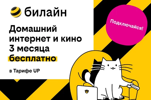 Базя, Пинг и Пуш сделают первые 3 месяца домашнего интернета с кинотеатром и цифровым ТВ бесплатными