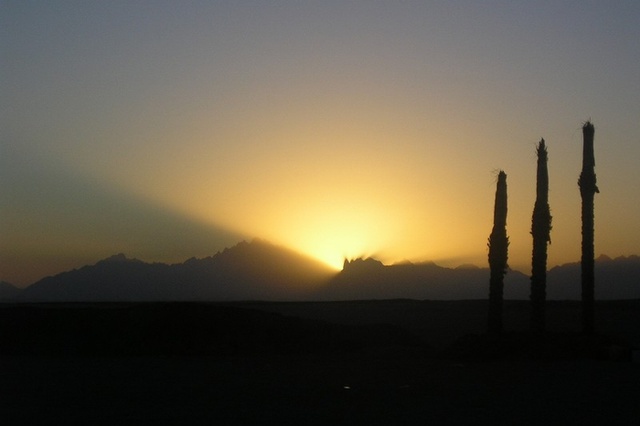 Россиянина в коме отключили от жизнеобеспечения в Египте