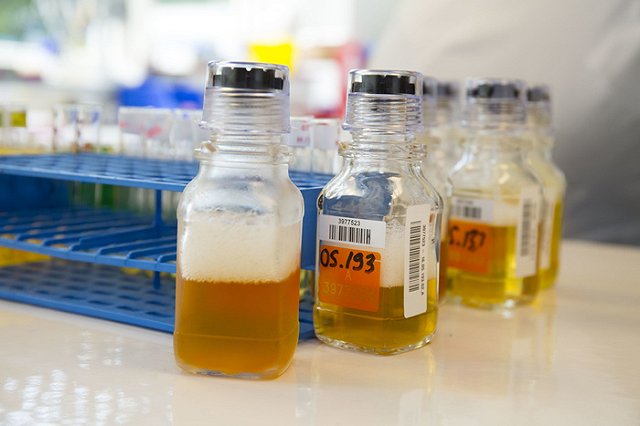 CBS объяснил изменение внешности Родченкова во время интервью