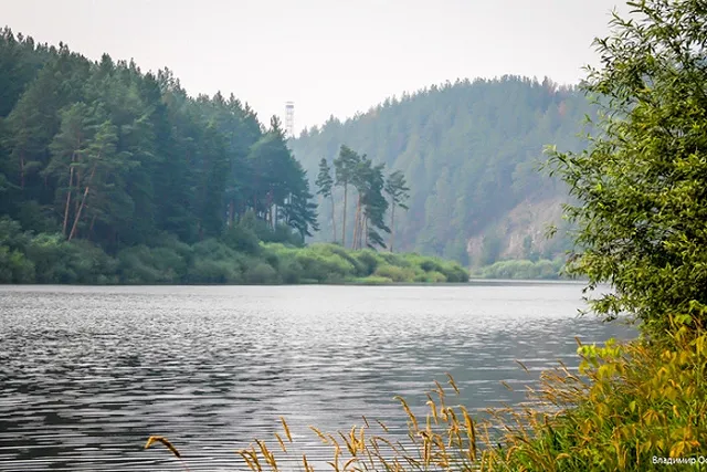 Экосистемы рек на севере Урала могут восстановиться — на это уйдет 3−4 года
