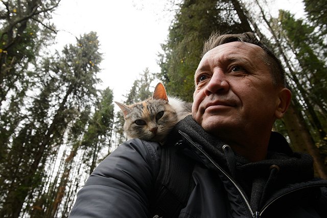 Учёный опроверг мнение о том, что лысые кошки не вызывают аллергию