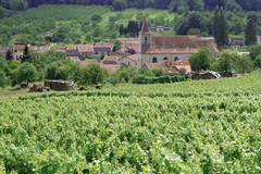 Олег Чиркунов уезжает на ПМЖ во Францию