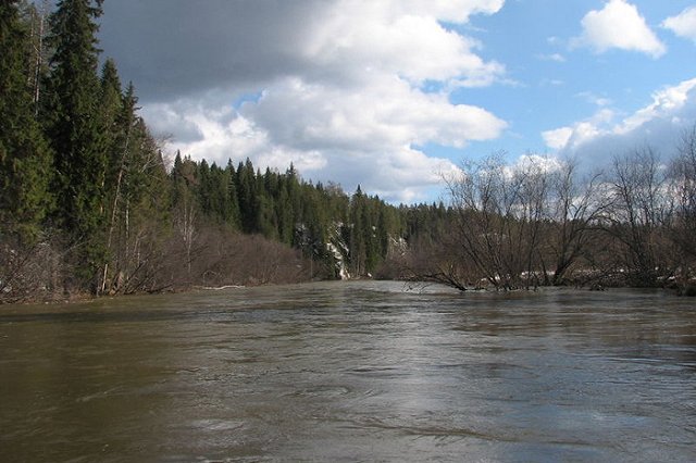 Волонтеры планируют возобновить поиски пропавшей Саши Золотиной