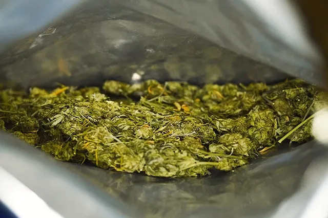 90-летнего профессора осудили на 3,8 года условно за выращивание конопли