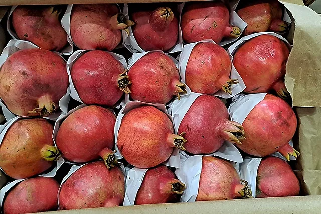 На Урале вырос спрос на гранаты