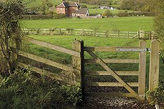 Из Екатеринбурга появится прямой рейс в Великобританию