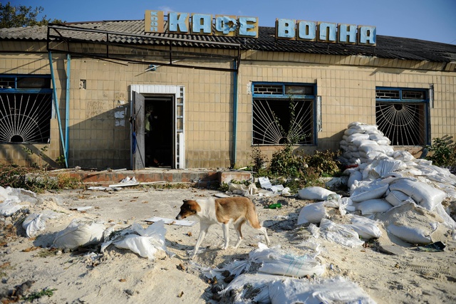 В СМИ опубликованы показания о причастности Украины к крушению «Боинга»