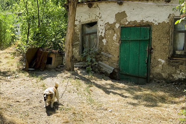 Внук российского миллиардера вновь шокировал россиян