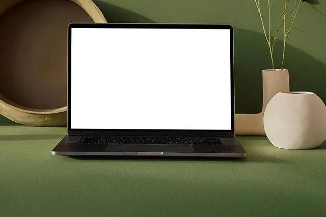 Екатеринбурженка перешла по ссылке и лишилась огромной суммы