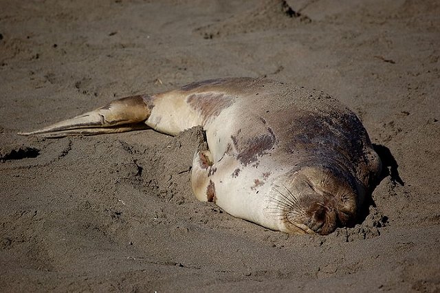 Врач Пироговки рассказала, как правильно пользоваться солнцезащитным кремом