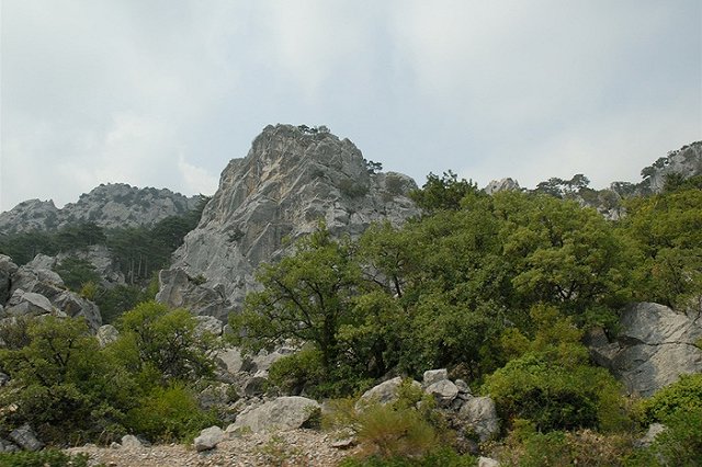 В Приморье школьница упала с 30-метровой скалы при попытке сделать селфи