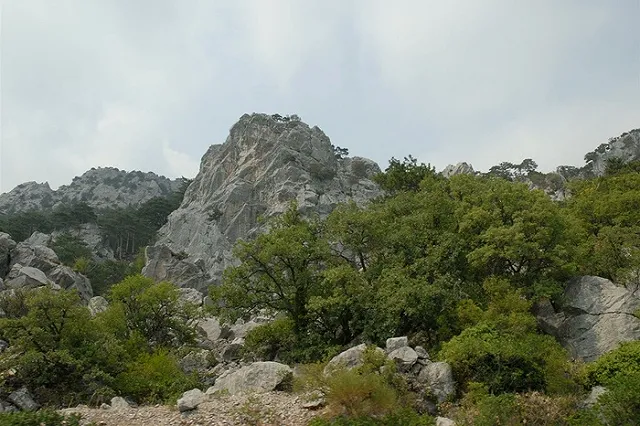В Приморье школьница упала с 30-метровой скалы при попытке сделать селфи
