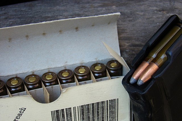 В 2017 году в Тюменской области будет открыта весенняя охота на медведя