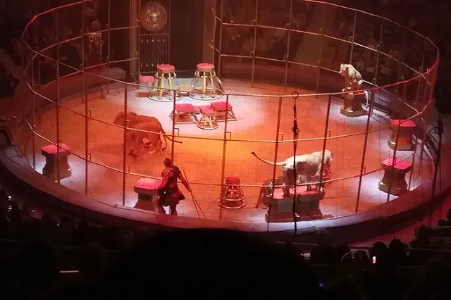 Зрители приняли дрессировщика номера с подравшимися львами за самого Гию Эрадзе