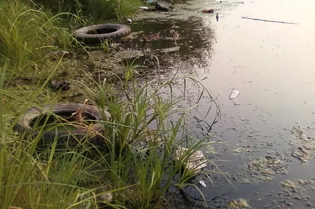 Дно озера Шарташ под Екатеринбургом начнут очищать в 2022 году