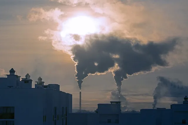 Части трупа с аномалиями обнаружены в Карабаше