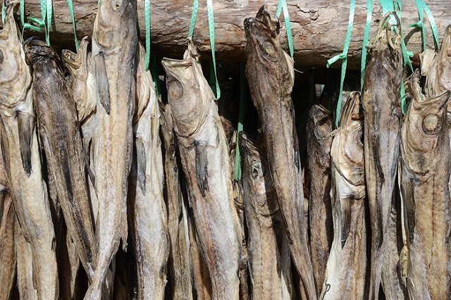 Цены на минтай выросли на четверть из-за спроса в Китае и Европе