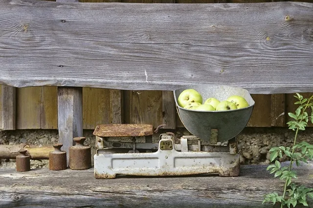 Живущий на прожиточный минимум депутат похудел на 6 килограммов