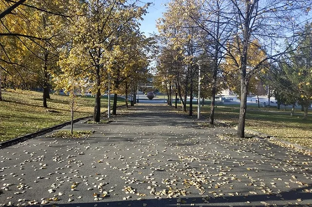 Ученые: Екатеринбуржцы дышат канцерогенным воздухом