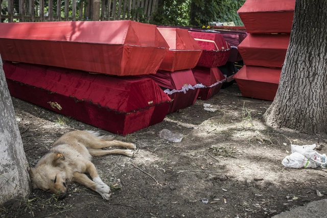ОБСЕ подтвердила массовые убийства под Донецком