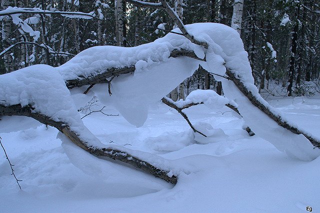 Снег закрыл движение автобусов на север Свердловской области