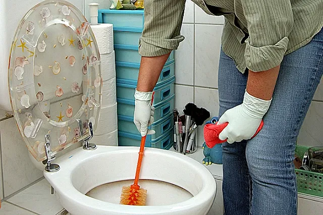 Сотрудницу отеля в Пекине уволили за чистку посуды туалетной щеткой