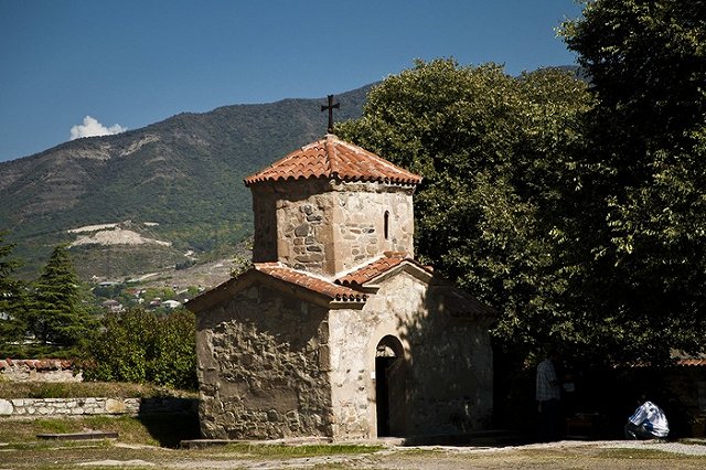 Кремль счел инцидент с депутатом Думы в Тбилиси «русофобской провокацией»