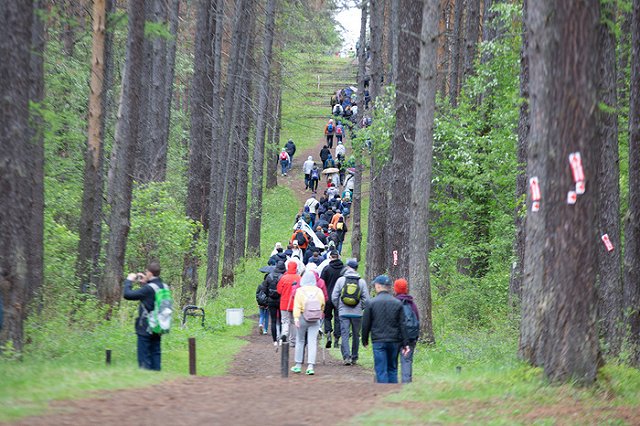 «Майская прогулка» состоится в Екатеринбурге в сентябре