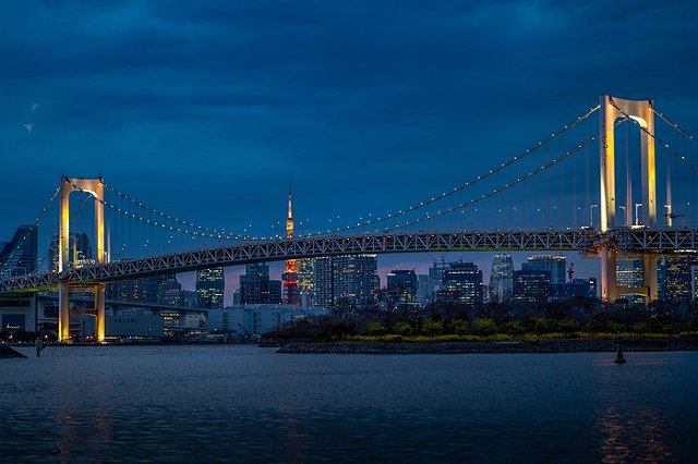 Французские специалисты займутся ремонтом вантового моста на остров Русский