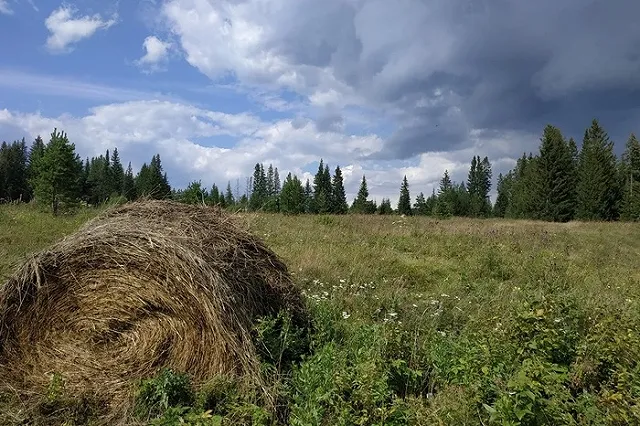 Губернатор предложил вместо молодежи привлекать в села людей старше 40