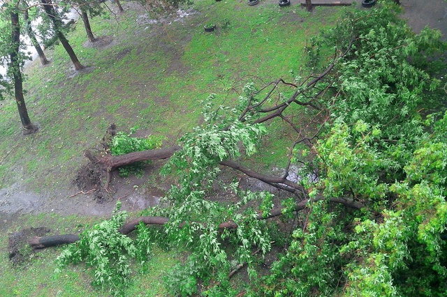 В Екатеринбурге бушует ураганный ветер