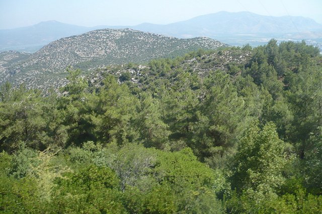 В Краснодарском крае за гибель трех детей в ДТП будут судить водителя экскурсионного автобуса