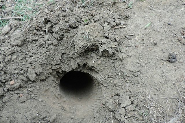 Юлия Чичерина попала под обстрел в Нагорном Карабахе