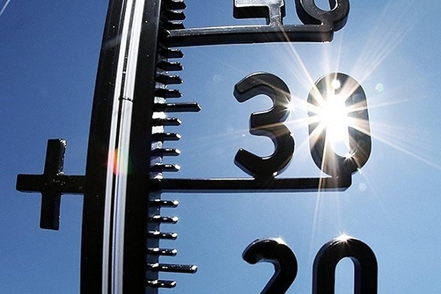 Свердловские спасатели выпустили экстренное предупреждение из-за аномальной жары